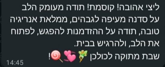 המלצה 1